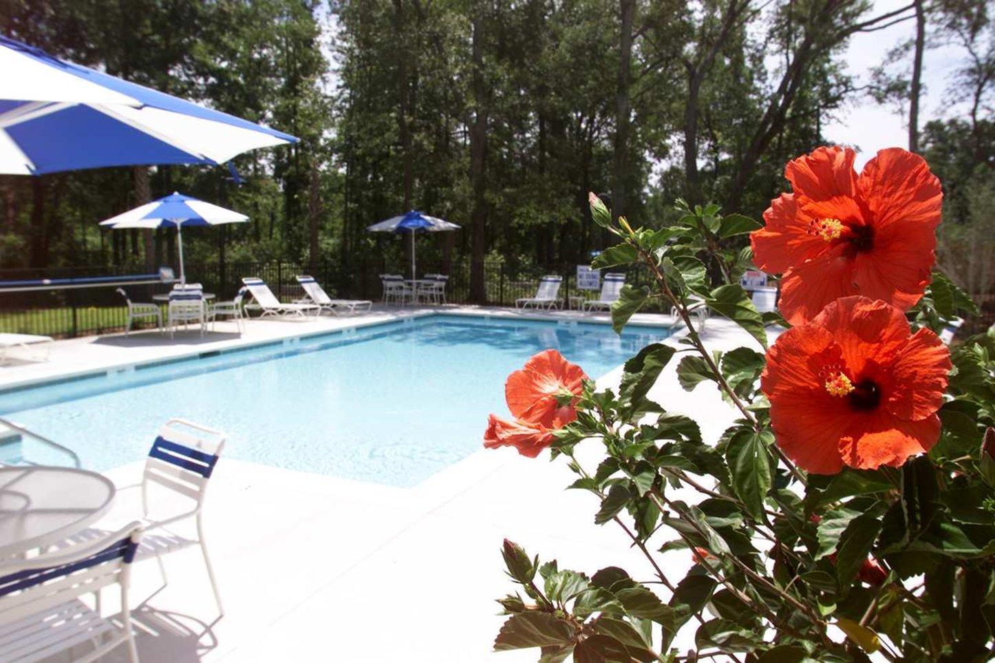 Hampton Inn Charleston-Daniel Island Ngoại thất bức ảnh